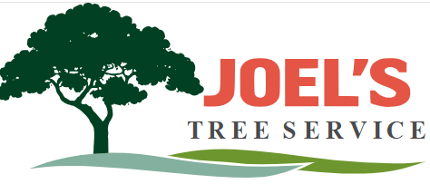 Joel's Tree Service San Diego