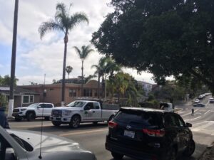 Palm Tree Trimming San Diego by Joel Tree Service