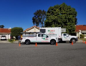 Tree Lacing San Diego by Joel Tree Service
