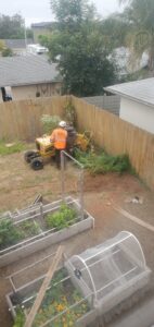 Stump Grinding San Diego by Joel Tree Service