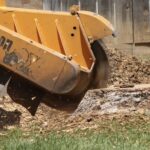 Stump Grinding San Diego by Joel Tree Service