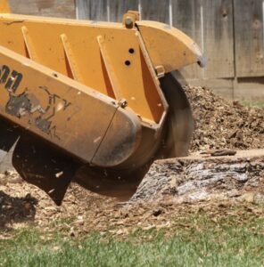 Stump Grinding San Diego by Joel Tree Service