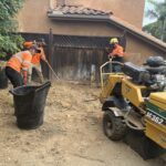 Stump Grinding San Diego by Joel Tree Service