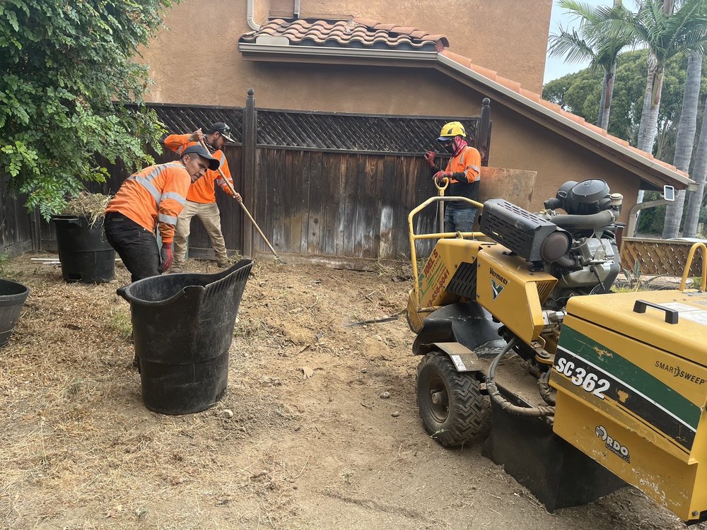 Stump Grinding San Diego by Joel Tree Service