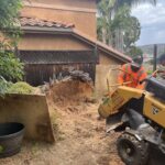 Stump Grinding San Diego by Joel Tree Service