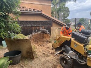 Stump Grinding San Diego by Joel Tree Service