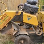Stump Grinding San Diego by Joel Tree Service