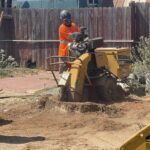 Stump Grinding San Diego by Joel Tree Service